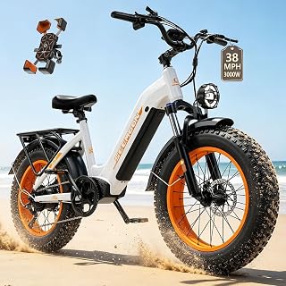 SM5 3000W 52V 25Ah E-Bike, 20 inch Fat Tire Offroad